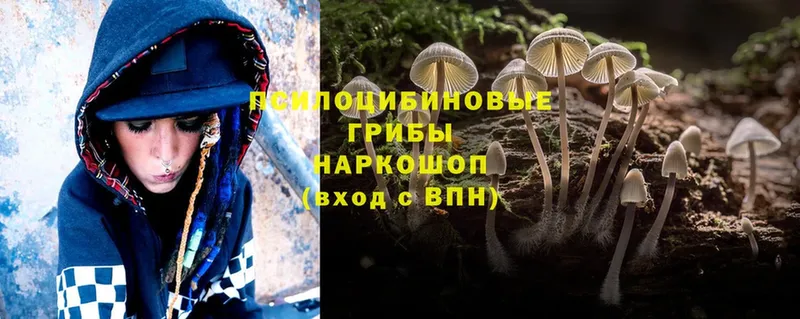 Псилоцибиновые грибы MAGIC MUSHROOMS  Отрадная 